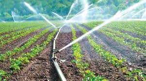 Micro Irrigation Systems Market share
