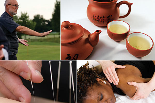 Global Complementary and Alternative Medicine Market