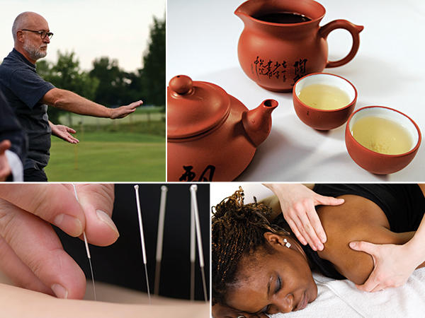 Global Complementary and Alternative Medicine Market